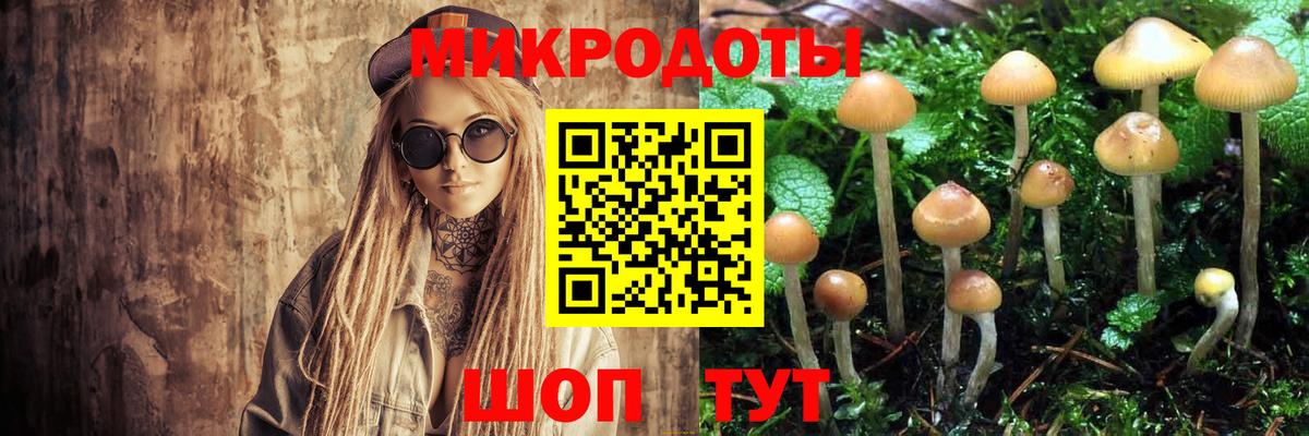 Галлюциногенные грибы Cubensis  Вход с VPN  Псилоцибиновые грибы Cubensis  Горячий Ключ 